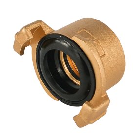 ZP01