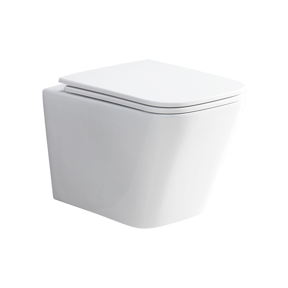 Mereo WC závěsné kapotované, RIMLESS, 490x340x350, keramické, vč. sedátka CSS118S